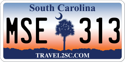 SC license plate MSE313