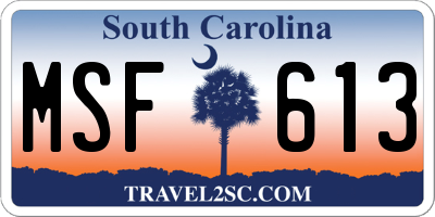 SC license plate MSF613