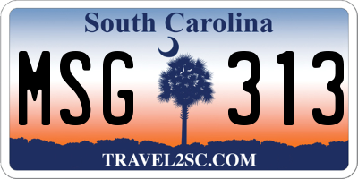 SC license plate MSG313