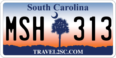 SC license plate MSH313