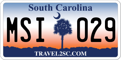 SC license plate MSI029