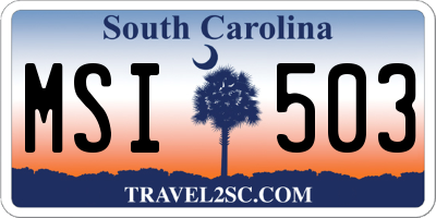 SC license plate MSI503