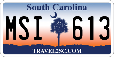 SC license plate MSI613