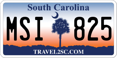 SC license plate MSI825