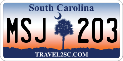 SC license plate MSJ203