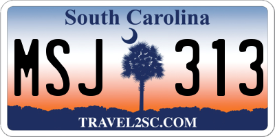 SC license plate MSJ313