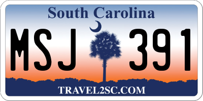 SC license plate MSJ391