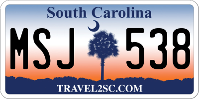 SC license plate MSJ538