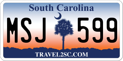SC license plate MSJ599