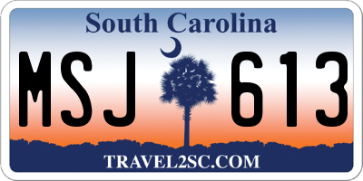 SC license plate MSJ613