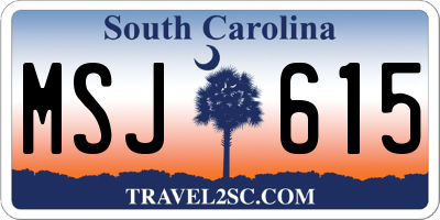 SC license plate MSJ615