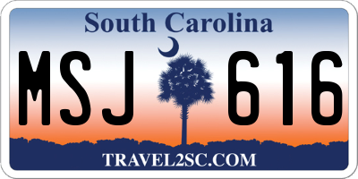 SC license plate MSJ616