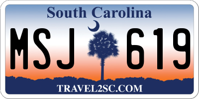SC license plate MSJ619