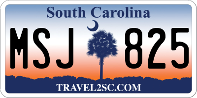 SC license plate MSJ825