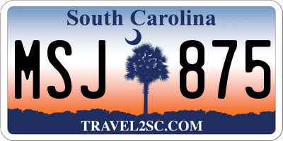 SC license plate MSJ875