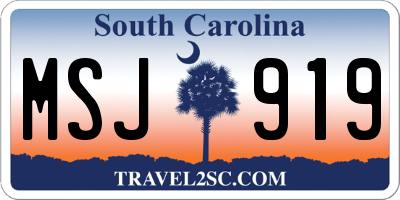 SC license plate MSJ919