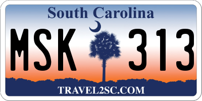SC license plate MSK313