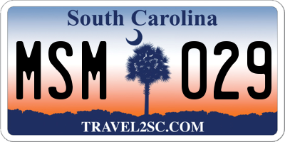 SC license plate MSM029
