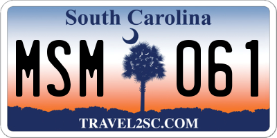SC license plate MSM061
