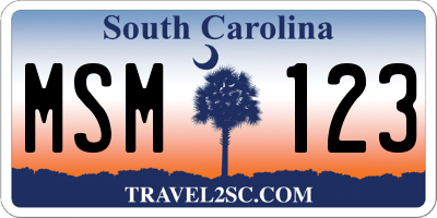 SC license plate MSM123