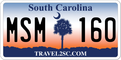 SC license plate MSM160