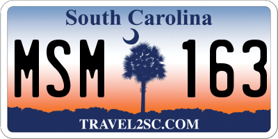 SC license plate MSM163