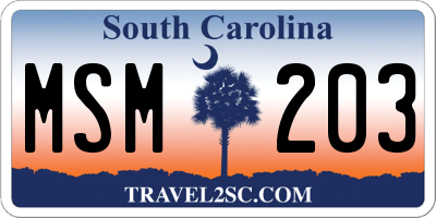 SC license plate MSM203