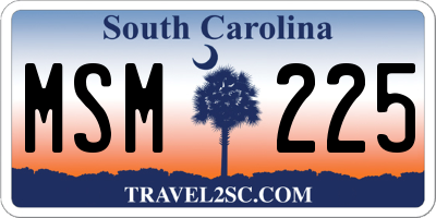 SC license plate MSM225