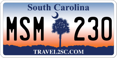 SC license plate MSM230