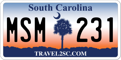 SC license plate MSM231