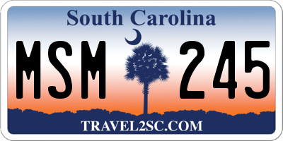 SC license plate MSM245