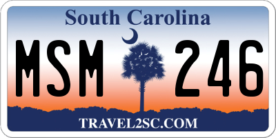 SC license plate MSM246