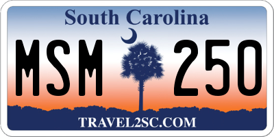 SC license plate MSM250