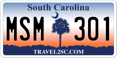 SC license plate MSM301