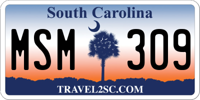 SC license plate MSM309