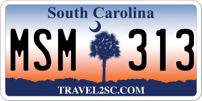 SC license plate MSM313