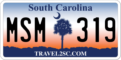 SC license plate MSM319