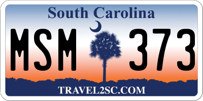 SC license plate MSM373