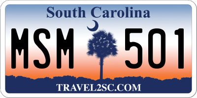 SC license plate MSM501