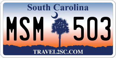 SC license plate MSM503