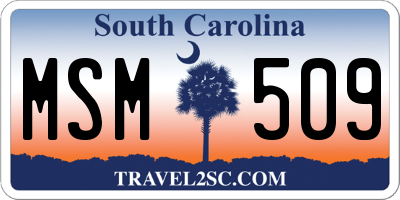 SC license plate MSM509