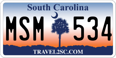 SC license plate MSM534