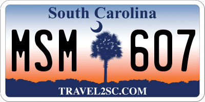 SC license plate MSM607