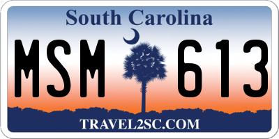 SC license plate MSM613