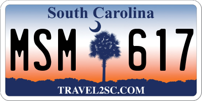 SC license plate MSM617