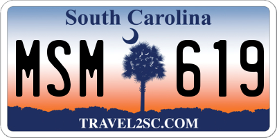 SC license plate MSM619