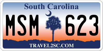 SC license plate MSM623