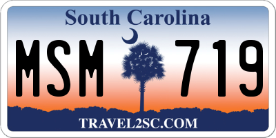 SC license plate MSM719