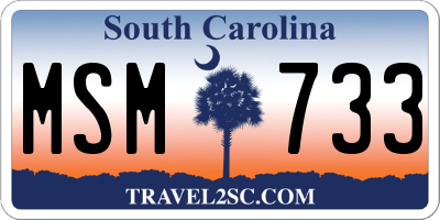 SC license plate MSM733