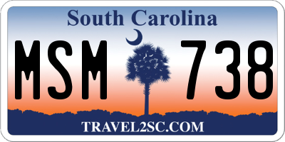 SC license plate MSM738